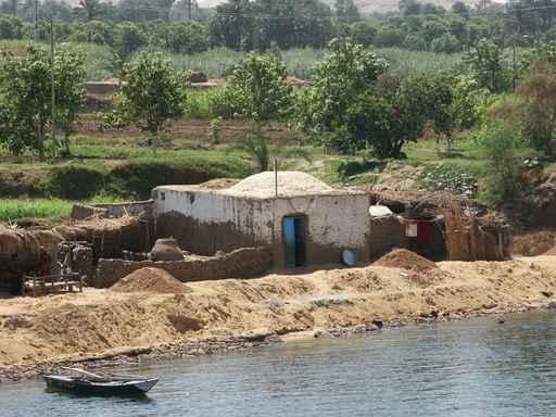 Banks Nile Wall Decal