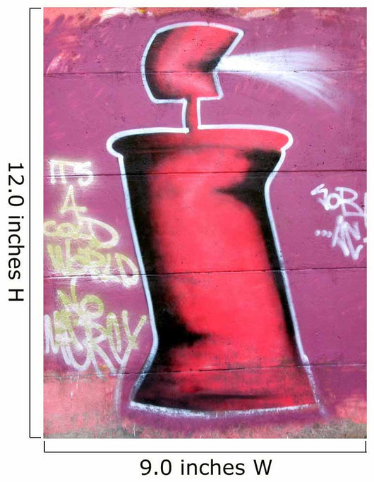 Graffiti Wall Mural