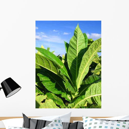 Tobacco Plantation Wall Decal