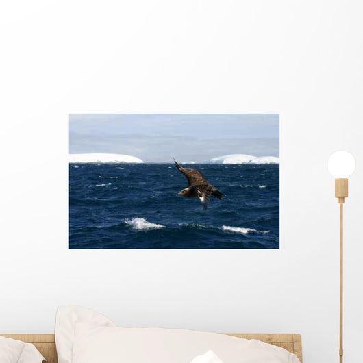 Iceberg Antarctic Detail Wall Decal