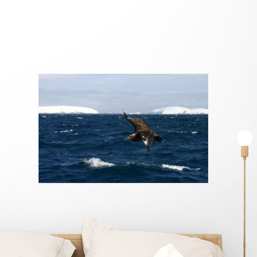 Iceberg Antarctic Detail Wall Decal