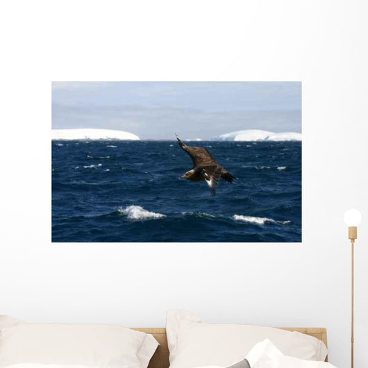 Iceberg Antarctic Detail Wall Decal