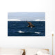 Iceberg Antarctic Detail Wall Decal