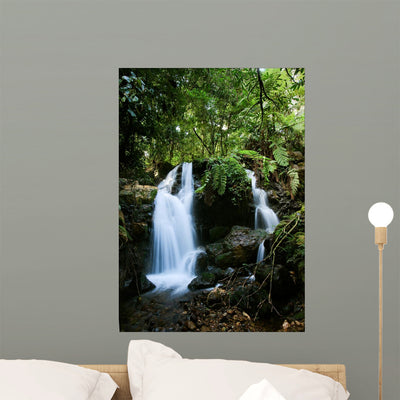 Bwindi Forest Waterfalls Wall Mural shown on a wall