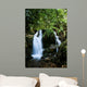 Bwindi Forest Waterfalls Wall Mural