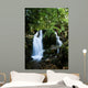 Bwindi Forest Waterfalls Wall Mural