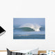 North Wall Decal