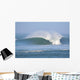 North Wall Decal
