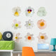 White flower collection Wall Decal