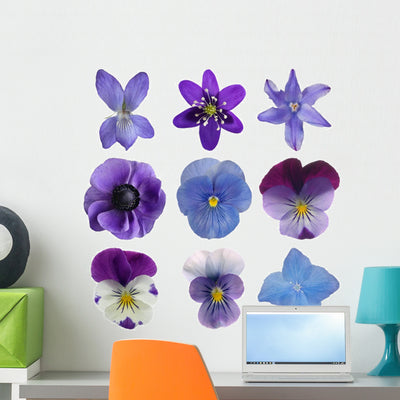 Collection Blue Flowers shown on a wall