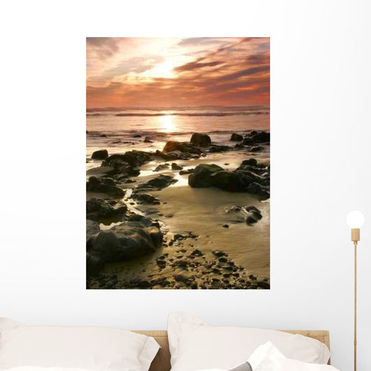 Oregon Coast Portraits Wall Decal