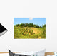 Hill Of Tuscany Wall Mural
