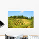 Hill Of Tuscany Wall Mural
