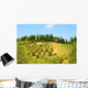 Hill Of Tuscany Wall Mural