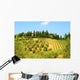 Hill Of Tuscany Wall Mural