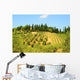 Hill Of Tuscany Wall Mural