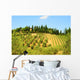 Hill Of Tuscany Wall Mural