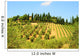 Hill Of Tuscany Wall Mural
