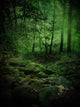 Midnight Woods Mysteries Wall Decal