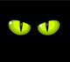 Green cat eyes Wall Mural