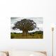 Baobab Wall Decal
