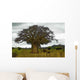 Baobab Wall Decal