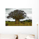Baobab Wall Decal