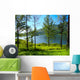 Lake Wall Mural