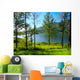 Lake Wall Mural