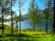Lake Wall Mural