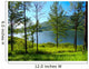 Lake Wall Mural