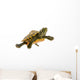 Baby Turtle Wall Mural