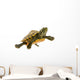 Baby Turtle Wall Mural