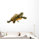 Baby Turtle Wall Mural
