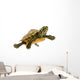 Baby Turtle Wall Mural