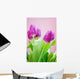 purple tulips Wall Mural