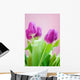 purple tulips Wall Mural
