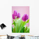 purple tulips Wall Mural