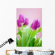 purple tulips Wall Mural