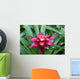 A red Lingulata Guzmania Bromeliad Wall Mural