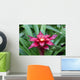 A red Lingulata Guzmania Bromeliad Wall Mural