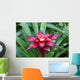 A red Lingulata Guzmania Bromeliad Wall Mural