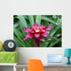 A red Lingulata Guzmania Bromeliad Wall Mural