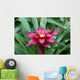 A red Lingulata Guzmania Bromeliad Wall Mural