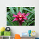 A red Lingulata Guzmania Bromeliad Wall Mural