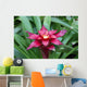 A red Lingulata Guzmania Bromeliad Wall Mural