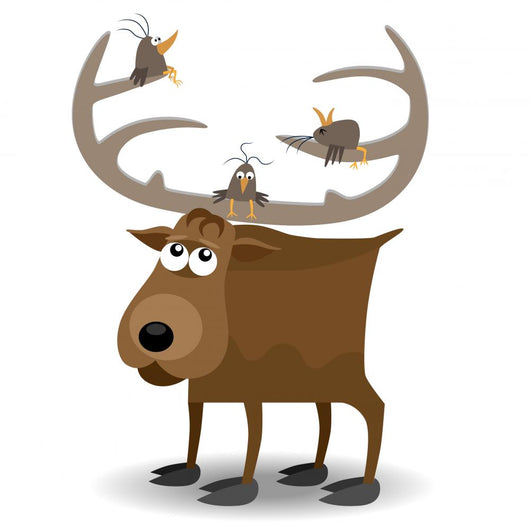 Moose and Birds Wall Decal