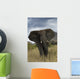 Angry Elephant
