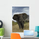 Angry Elephant