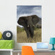Angry Elephant